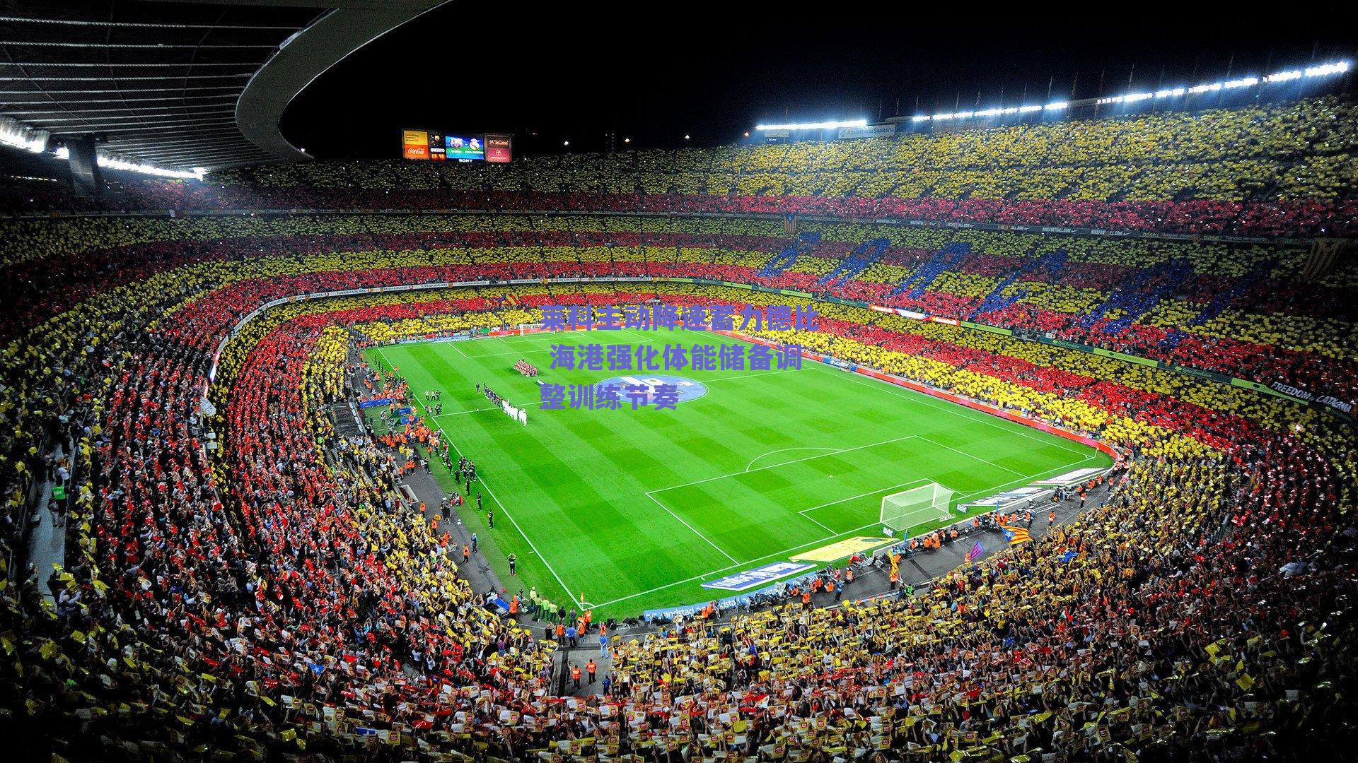 莱科主动降速蓄力德比 海港强化体能储备调整训练节奏